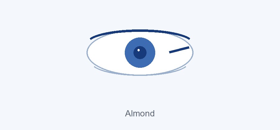 Almond eye shape with a slightly lifted outer corner