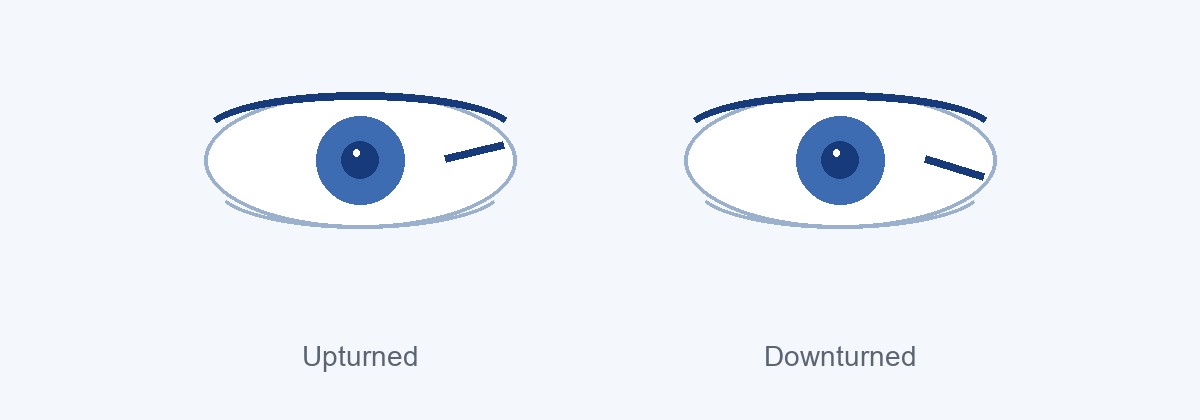 Upturned and downturned eye shapes side by side