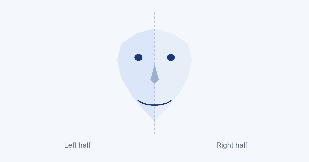 Left and right halves of a face compared to show facial symmetry