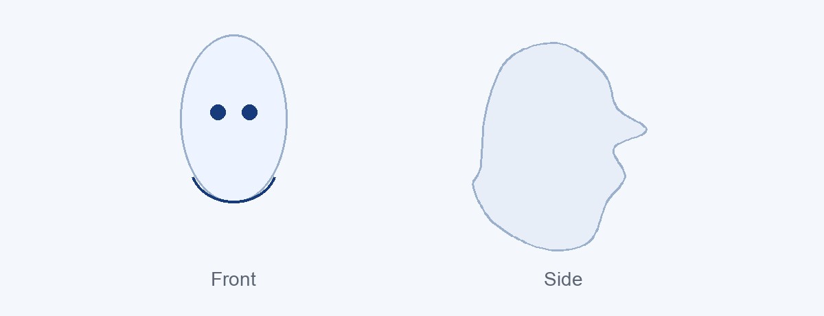Front and side view of a woman's jawline